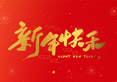 麗水市迪發軸承有限公司祝大家2025新年快樂!